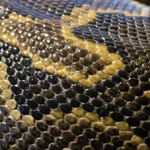 Dasypeltis snake