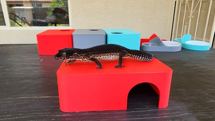 Strawberry Red Leopard Gecko humid hide, dry hide, food bowl, calcium & water dish combo