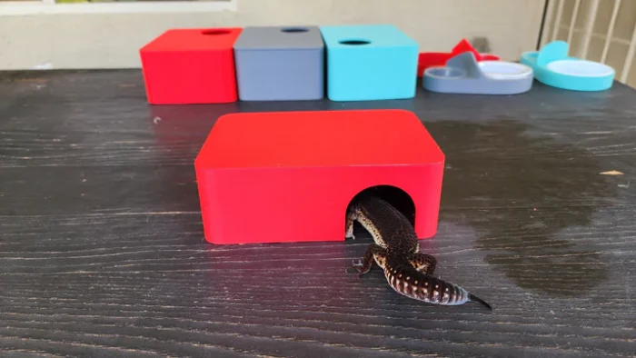 Strawberry Red Leopard Gecko humid hide, dry hide, food bowl, calcium & water dish combo