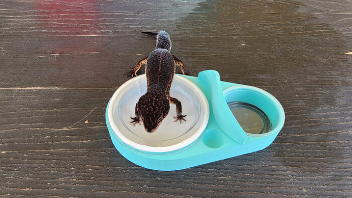 Sky Blue Leopard Gecko food bowl, calcium dish & water dish